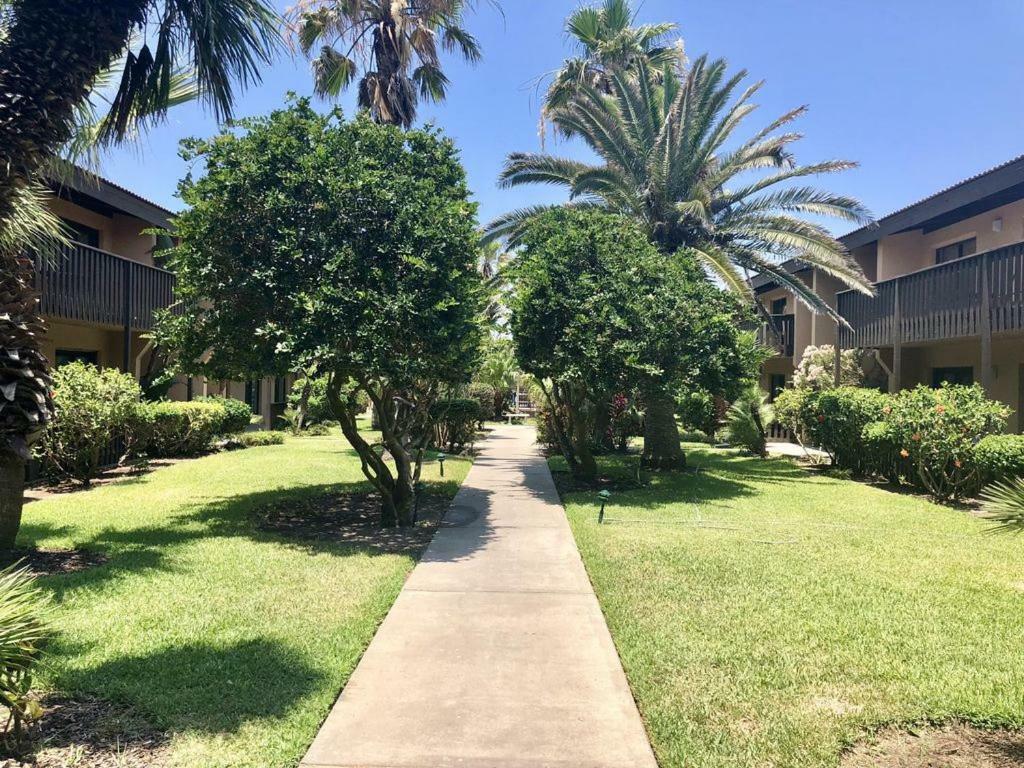 The Tiki- Beach Front Complex! Unit 106 South Padre Island Ngoại thất bức ảnh